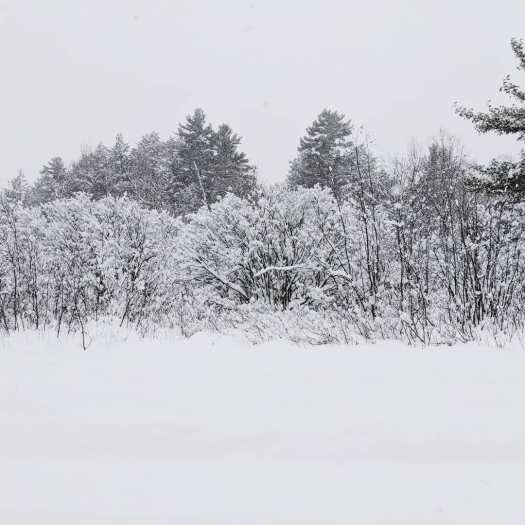 IMG_20171216_125355_164