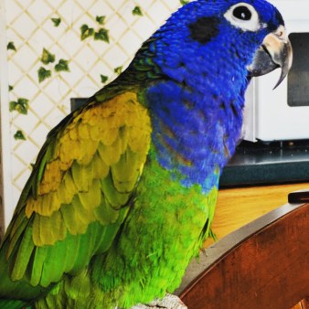 IMG_20180127_223752_459