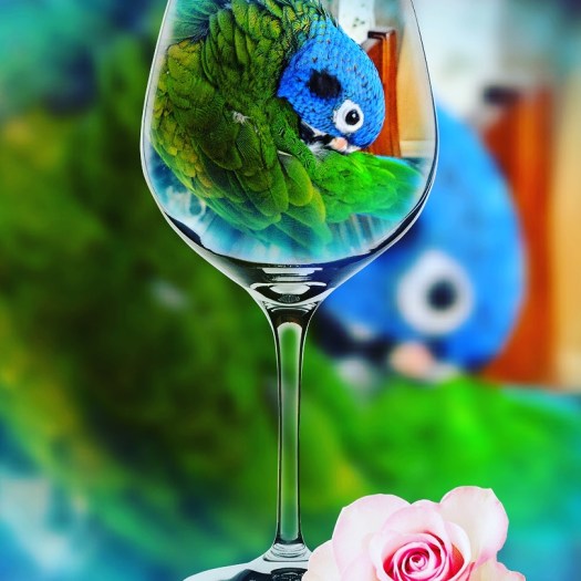 IMG_20180214_222853_945