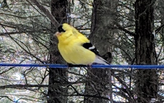 Maker:0x4c,Date:2017-10-15,Ver:4,Lens:Kan03,Act:Lar01,E-Y