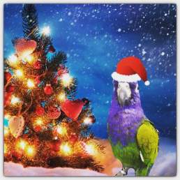 FB_IMG_1543848641459