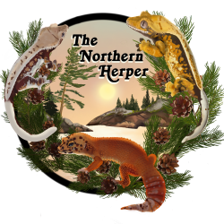 The Northern Herper